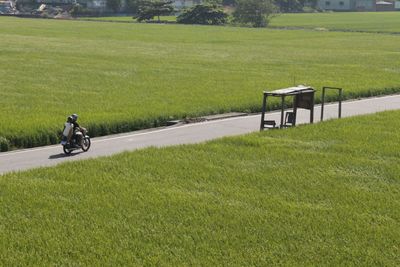 Road passing through grassy field