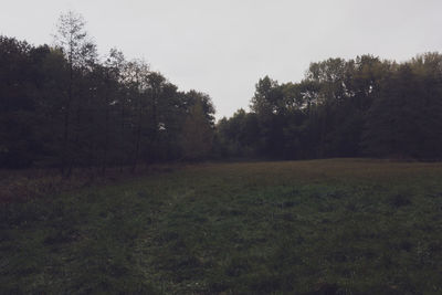 Scenic view of trees on field against sky