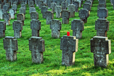 Tombstones on grassy field