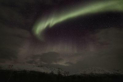 Low angle view of sky at night