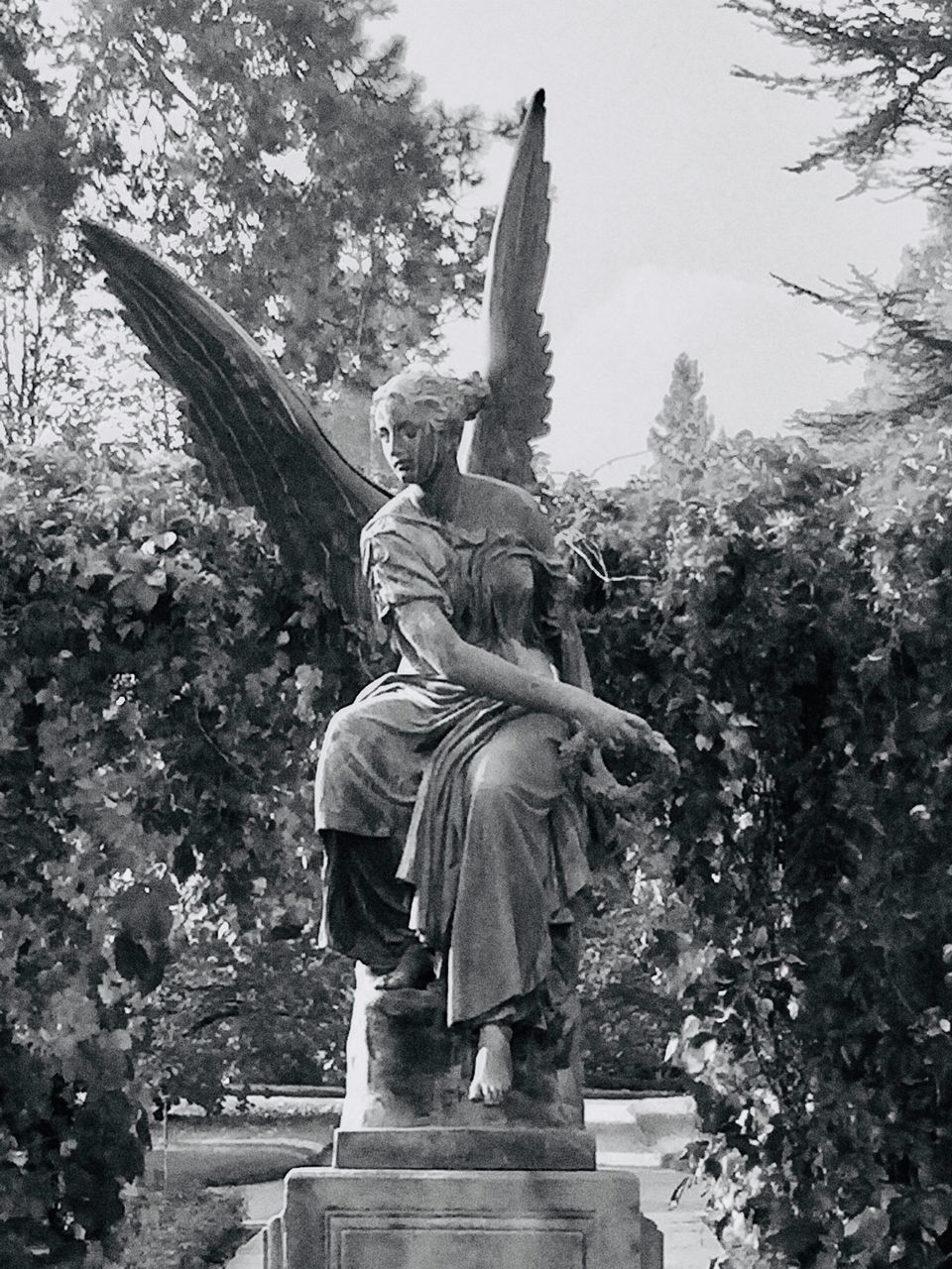 STATUE AGAINST TREES