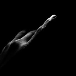 Close-up of hand holding lizard against black background