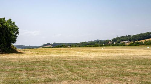 Scenic view of field against clear sky