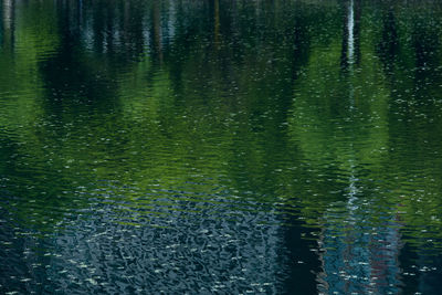 Scenic view of lake