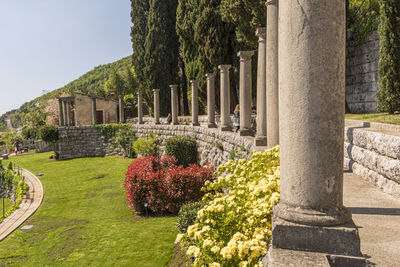 Plants growing in front of building