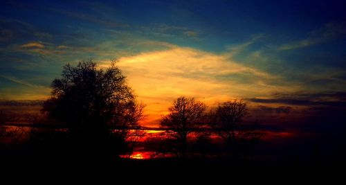 Silhouette of trees at sunset