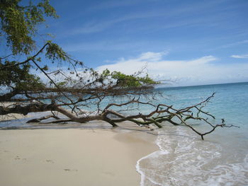 Scenic view of sea against blue sky