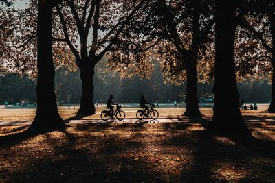 Silhouettes of people riding bicycles in park