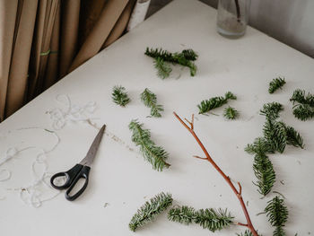 High angle view of twigs on table