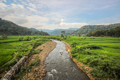 Scenic view of landscape against sky