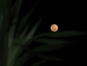 Close-up of moon against sky at night