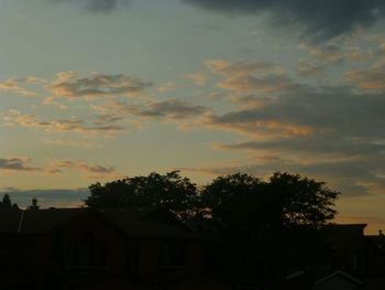 Low angle view of silhouette trees and building against sky