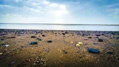 Surface level of pebbles on beach