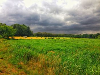 Scenic view of field against sky