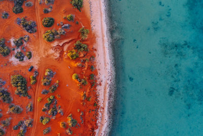 High angle view of coffee beans on beach