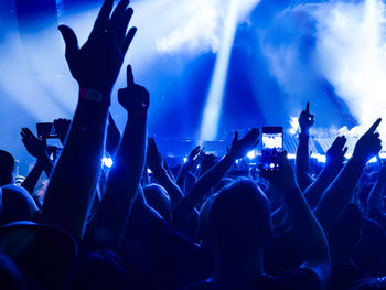 Crowd at music concert