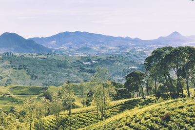 Scenic view of landscape and mountains against sky