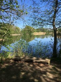 Reflection of trees in lake against sky