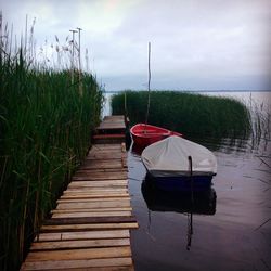 Boats in sea