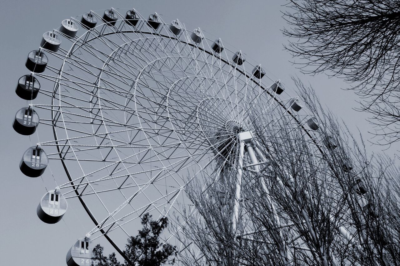 low angle view, ferris wheel, amusement park, amusement park ride, tree, arts culture and entertainment, sky, clear sky, circle, tall - high, outdoors, no people, day, built structure, nature, large, dusk, architecture, fun, silhouette