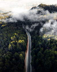 High angle view of waterfall in forest