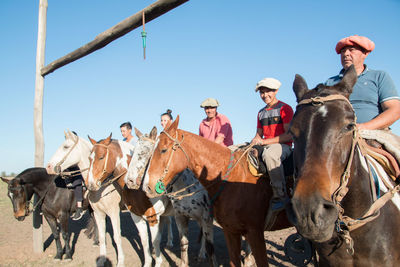 People sitting on horses against clear sky