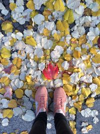 Low section of person standing on autumn leaves