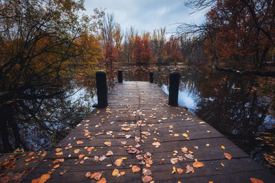 Horizontal view of a wooden dock covered  by fallen leaves surrounded by trees reflected on a lake