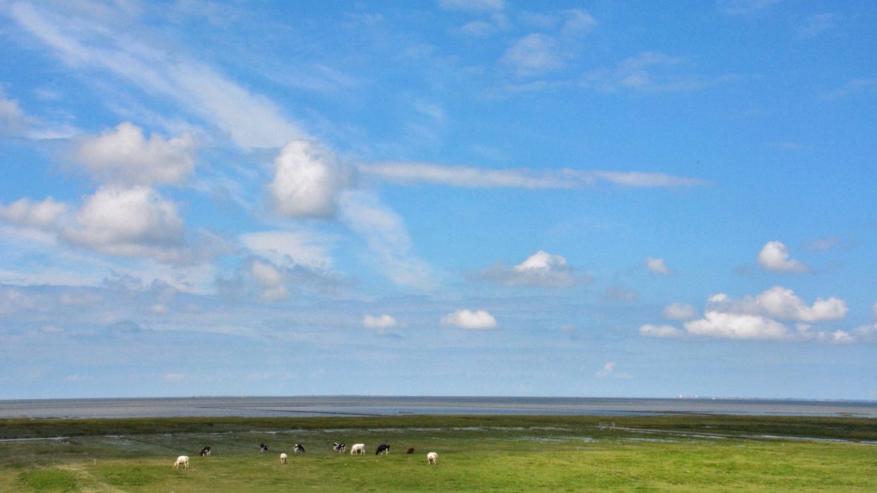 sea, horizon over water, sky, beach, water, tranquil scene, scenics, tranquility, beauty in nature, blue, shore, sand, nature, cloud - sky, cloud, idyllic, vacations, day, incidental people, coastline