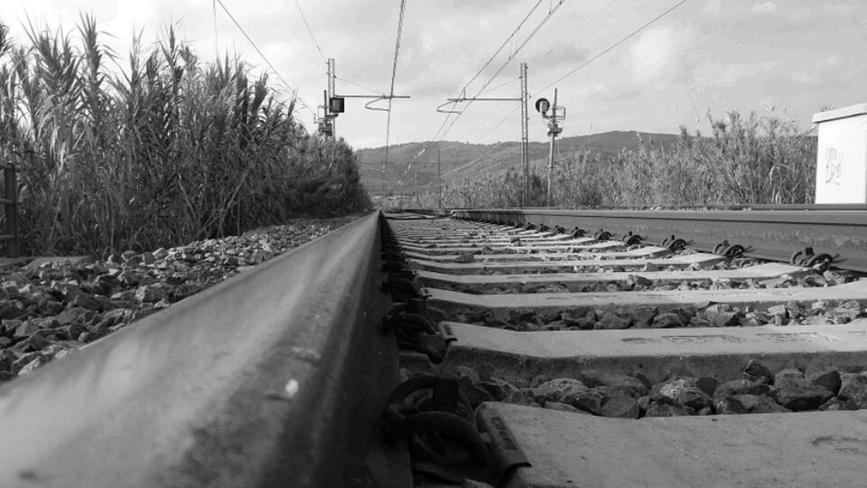 RAILROAD TRACKS ON LANDSCAPE