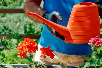 Hands of a man with black gloves watering with watering can the ground in flower pot with geraniums