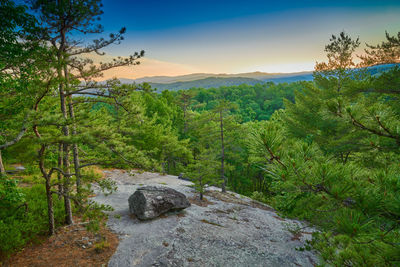 Dirt road amidst rocks in forest against sky