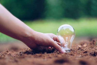 Cropped hand of woman buried light bulb in dirt