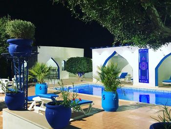 Potted plants on table by swimming pool