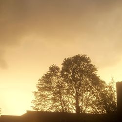 Silhouette tree against sky during sunset