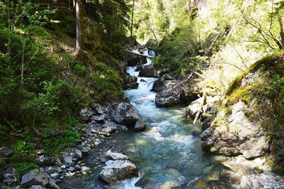 High angle view of stream amidst trees