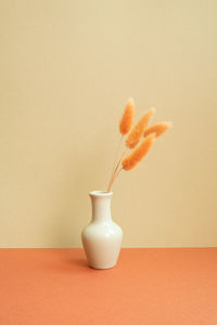Close-up of potted plant against yellow background