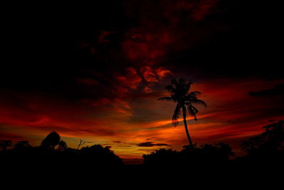 Low angle view of silhouette palm trees against dramatic sky