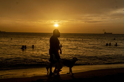 Silhouette dog on beach against sky during sunset