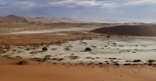 Scenic view of desert against sky