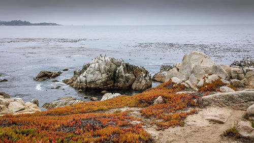 Beautiful ocean view, along the 17 mile drive on the west coast in california