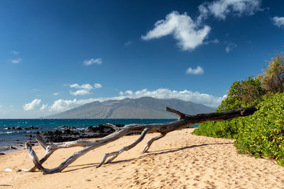 Scenic view of beach against sky