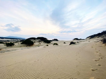 Scenic view of sand dune on beach against sky