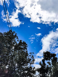 Low angle view of trees against sky