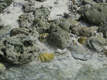 High angle view of rock on beach