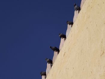 Low angle view of clear blue sky