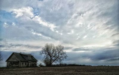 Bare trees on field against cloudy sky