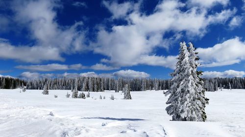 Scenic view of snow covered landscape against sky