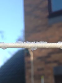 Close-up of water against sky