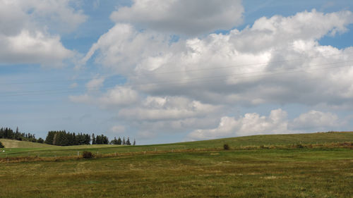 Scenic view of field against sky